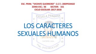 LOS CARACTERES
SEXUALES HUMANOS
ESC. PRIM. “VICENTE GUERRERO” C.C.T.: 20DPR3442Z
ZONA ESC.: 36 SECTOR: 161
CICLO ESCOLAR: 2017-2018
 