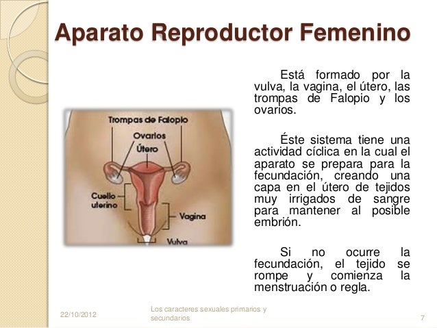 Las máscaras para la persona con el casis