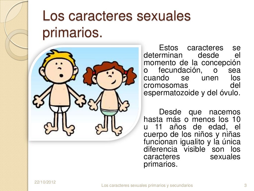 Imagen relacionada