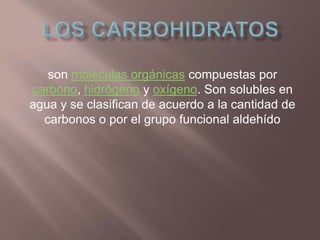 Los carbohidratos son moléculas orgánicas compuestas por carbono, hidrógeno y oxígeno. Son solubles en agua y se clasifican de acuerdo a la cantidad de carbonos o por el grupo funcional aldehído 