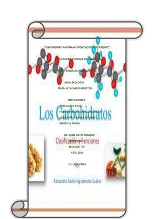 “UNIVERSIDAD ANDINA NÉSTOR CACERES VELÁSQUEZ” 
FACULTAD DE CIENCIAS DE LA SALUD 
CAP: FARMACIA Y BIOQUÍMICA 
AREA: BIOLOGÍA 
TEMA: LOS CARBOHIDRATOS 
INTEGRANTES: 
-YENI APAZA VILCA 
-FABIOLA VICENTA ARACAYO VILCA 
-LUVIÉ EMELY APAZA AGUIRRE 
-BRISEIDA ARAPA 
DR: RENE ORTÍZ ROMERO 
SEMESTRE: 1 
SECCION: “A” 
AÑO: 2014 
JULIACA-PERÚ 
