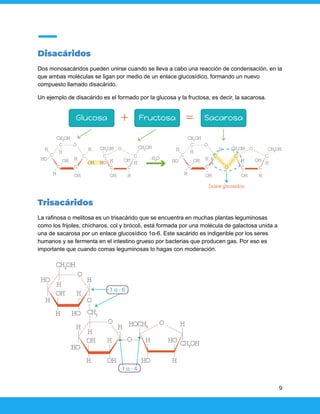 Disacáridos
Dos monosacáridos pueden unirse cuando se lleva a cabo una reacción de condensación, en la
que ambas moléculas se ligan por medio de un enlace glucosídico, formando un nuevo
compuesto llamado disacárido.
Un ejemplo de disacárido es el formado por la glucosa y la fructosa, es decir, la sacarosa.
Trisacáridos
La rafinosa o melitosa es un trisacárido que se encuentra en muchas plantas leguminosas
como los frijoles, chícharos, col y brócoli, está formada por una molécula de galactosa unida a
una de sacarosa por un enlace glucosídico 1α-6. Este sacárido es indigerible por los seres
humanos y se fermenta en el intestino grueso por bacterias que producen gas. Por eso es
importante que cuando comas leguminosas lo hagas con moderación.
9
 