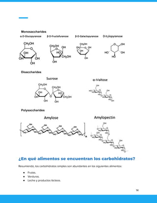 ¿En qué alimentos se encuentran los carbohidratos?
Resumiendo, los carbohidratos simples son abundantes en los siguientes alimentos:
● Frutas.
● Verduras.
● Leche y productos lácteos.
14
 