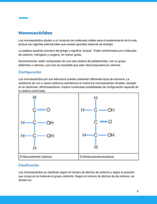 Monosacáridos
Los monosacáridos aluden a un conjunto de moléculas vitales para el sostenimiento de la vida,
porque son agentes estructurales que poseen grandes reservas de energía.
La palabra sacárido proviene del griego y significa “azúcar”. Están conformados por moléculas
de carbono, hidrógeno y oxígeno, en menor grado.
Químicamente, están compuestos de una sola cadena de polialcoholes, con un grupo
aldehídos o cetonas y por eso es imposible que sean descompuestos en cetonas.
Configuración
Los monosacáridos por sus estructura pueden presentar diferentes tipos de isomería. La
existencia de uno o varios carbonos asimétricos en todos los monosacáridos simples, excepto
en la cetotriosa: dihidroxiacetona, implica numerosas posibilidades de configuración espacial de
la cadena carbonada.
D-Gliceraldehido (aldosa) D-Dihidroxiacetona(cetosa)
Clasificación
Los monosacáridos se clasifican según el número de átomos de carbono y según la posición
que ocupa en la molécula el grupo carbonilo. Según el número de átomos de de carbono, se
dividen en:
6
 