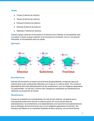 ● Triosas (3 átomos de carbono)
● Tetrosa (4 átomos de carbono)
● Pentosa (5 átomos de carbono)
● Hexosas (6 átomos de carbono)
● Heptosas (7 átomos de carbono)
Cuando el grupo carbonilo se encuentre en el extremo de la molécula, el monosacárido será
una aldosa. Cuando el grupo carbonilo no se encuentre en el extremo, sino en una posición
intermedia, el monosacárido será una cetosa.
Ejemplos
Enantiómeros
Este tipo de isomerismo se observa en la fórmula del gliceraldehido, el segundo átomo de
carbono tiene cuatro sustituyentes diferentes, por lo que es un carbono quiral . Por lo tanto el
gliceraldehído tiene dos estereoisómeros de tipo enantiómeros, que son imágenes especulares,
no superponibles, uno del otro. La forma más compacta de representar los enantiómeros es
utilizando una proyección de Fischer.
Diastómeros
Cuando se consideran los monosacáridos con más de tres carbonos, se aprecia que el
monosacárido puede tener más de un carbono quiral, por lo que hay dos tipos de
estereoisómeros: los enantiómeros y los diastereómeros una nueva forma de estereoisómeros
que se distinguen de los primeros por que no son imágenes especulares uno del otro. Son
isómeros que difieren en su orientación alrededor de otros carbonos, con la misma fórmula
7
 