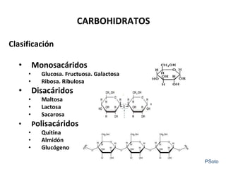 CARBOHIDRATOS
Clasificación
• Monosacáridos
• Glucosa. Fructuosa. Galactosa
• Ribosa. Ribulosa
• Disacáridos
• Maltosa
• Lactosa
• Sacarosa
• Polisacáridos
• Quitina
• Almidón
• Glucógeno
PSoto
 