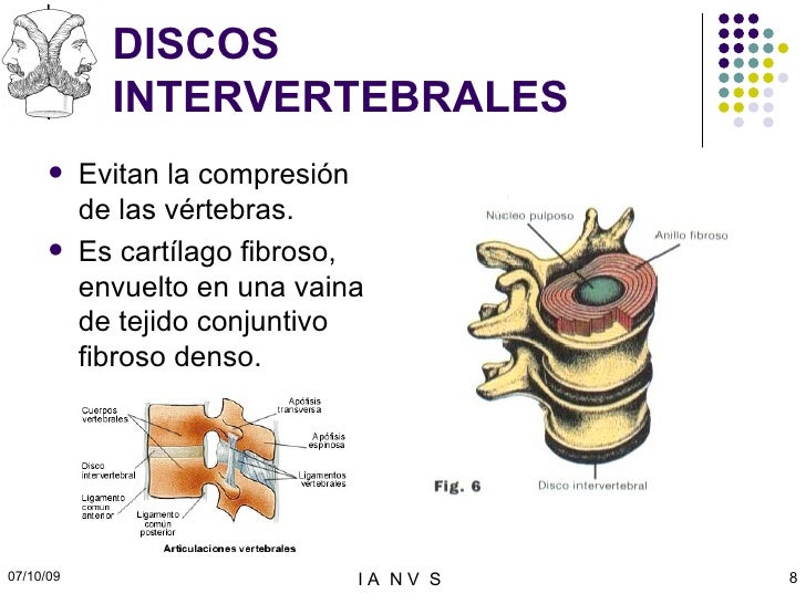 Duele la parte izquierda los riñones