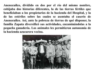 Don Gabriel Zapata
instruyó a sus hijos en las
labores del campo y en las
del ranchero criador de
ganado; les enseñó que
"...