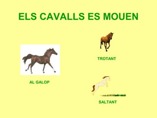 ELS CAVALLS ES MOUEN
AL GALOP
SALTANT
TROTANT
 