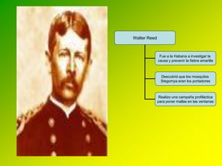 Walter Reed



               Fue a la Habana a investigar la
              causa y prevenir la fiebre amarilla



                Descubrió que los mosquitos
                Stegomya eran los portadores



               Realizo una campaña profiláctica
              para poner mallas en las ventanas
 