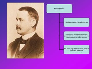 Ronald Ross




              Se intereso en el paludismo




            Comprobó que los parásitos del paludismo
          pasaban del estomago a las glándulas salivales
             de los mosquitos y al picar lo transmiten




          No pudo seguir observando, porque
                  pierde la memoria
 