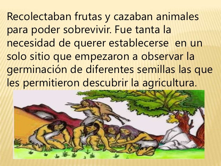 Los cazadores y recolectores Los cazadores y recolectores