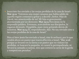 Jesucristo fue enviado a las ovejas perdidas de la casa de Israel: Mat 15:22 “Entonces una mujer cananea que había salido de aquella región comenzó a gritar y a decirle: ¡Señor, Hijo de David, ten misericordia de mí! Mi hija es gravemente atormentada por un demonio. Mat 15:23 Pero Jesús no le respondió palabra. Entonces, acercándose sus discípulos, le rogaron diciendo: Despídela, pues viene gritando detrás de nosotros. Mat 15:24 Él, respondiendo, dijo: No soy enviado sino a las ovejas perdidas de la casa de Israel.”Pero si bien Jesús fue enviado a Israel, éste le rechazó, por lo que vendrá ahora un pastor que traerá aflicción a Israel: “Zec 11:16 porque yo levanto en la tierra a un pastor que no visitará las perdidas, ni buscará la pequeña, ni curará la perniquebrada, ni llevará la cansada a cuestas, sino que comerá la carne de la gorda y romperá sus pezuñas.”