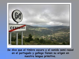 Se dice que el timbre oscuro y el sonido semi-nasal
en el portugués y gallego tienen su origen en
nuestra lengua primitiva.
 