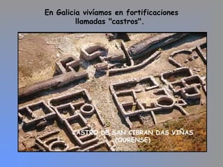 CASTRO DE SAN CIBRAN DAS VIÑAS
(OURENSE)
En Galicia vivíamos en fortificaciones
llamadas "castros".
 