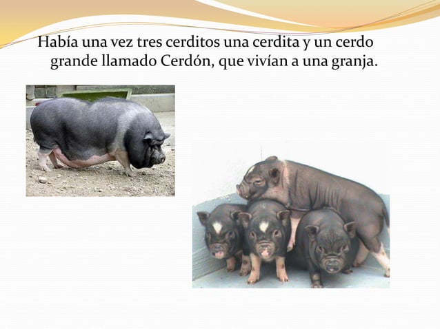 Los cerdos PPT