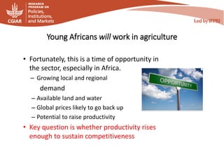 Young Africans will work in agriculture
• Fortunately, this is a time of opportunity in
the sector, especially in Africa.
– Growing local and regional
demand
– Available land and water
– Global prices likely to go back up
– Potential to raise productivity
• Key question is whether productivity rises
enough to sustain competitiveness
 