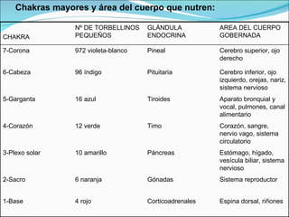 Chakras mayores y área del cuerpo que nutren: CHAKRA Nº DE TORBELLINOS PEQUEÑOS  GLÁNDULA ENDOCRINA AREA DEL CUERPO GOBERNADA 7-Corona 972 violeta-blanco Pineal Cerebro superior, ojo derecho 6-Cabeza 96 índigo Pituitaria Cerebro inferior, ojo izquierdo, orejas, nariz, sistema nervioso  5-Garganta 16 azul Tiroides Aparato bronquial y vocal, pulmones, canal alimentario 4-Corazón 12 verde Timo Corazón, sangre, nervio vago, sistema circulatorio 3-Plexo solar 10 amarillo Páncreas Estómago, hígado, vesícula biliar, sistema nervioso 2-Sacro 6 naranja Gónadas Sistema reproductor 1-Base 4 rojo Corticoadrenales Espina dorsal, riñones 