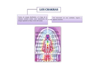 LOS CHAKRAS
Centros de energía distribuidos a lo largo de la
columna vertebral actúan como transmisores de
energía regulando su flujo a través del cuerpo.

Está relacionado con unas cualidades, órganos y
aspectos concretos.

 