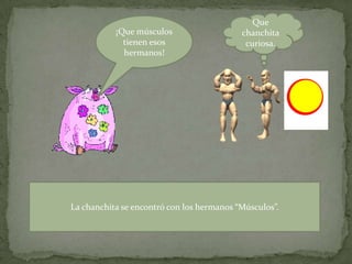 Que chanchita curiosa.¡Que músculos tienen esos hermanos!La chanchita se encontró con los hermanos “Músculos”.