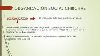 Se encuentran cultivos de papa, yuca y coca. 
Población chibcha del nuevo reino de granada podría alcanzar hasta 620.000 
habitantes mas o menos en 1560 en la que se calculaba 124.008 tributarioa y si cada 
tributario hay de 4 a 6 personas. 
Pero haciendo en calculo de tributarios se puede estimar que había 263.235 
habitantes en la zona und 
 