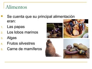Alimentos
 Se cuenta que su principal alimentación
eran:
1. Las papas
2. Los lobos marinos
3. Algas
4. Frutos silvestres
5. Carne de mamíferos
 