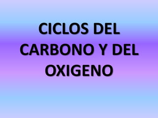 CICLOS DEL CARBONO Y DEL OXIGENO 