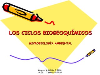 LOS CICLOS BIOGEOQUÍMICOS MICROBIOLOGÍA AMBIENTAL Vanessa V. Valdés S. M.Sc. M.Ed.  I semestre 2010 