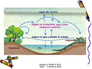 Vanessa V. Valdés S. M.Sc. M.Ed.  I semestre 2010 