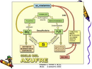 Vanessa V. Valdés S. M.Sc. M.Ed.  I semestre 2010 