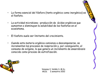 La forma esencial del fósforo (tanto orgánico como inorgánico) es el fosfato.  La actividad microbiana : producción de  ácidos orgánicos que aumenten o disminuyan la solubilidad de los fosfatos en el ecosistema. El fosfato suele ser limitante del crecimiento.  Cuando esta materia orgánica comienza a descomponerse, se incrementan los procesos de respiración y, por consiguiente, el consumo de oxígeno, lo que genera un incremento de anaerobiosis conocido como proceso de eutrofización. Vanessa V. Valdés S. M.Sc. M.Ed.  I semestre 2010 