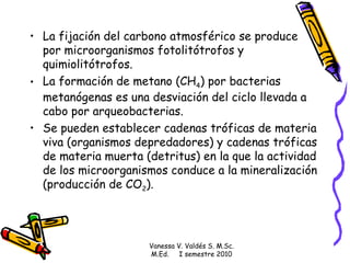 La fijación del carbono atmosférico se produce por microorganismos fotolitótrofos y quimiolitótrofos. La formación de metano (CH 4 ) por bacterias metanógenas es una desviación del ciclo llevada a cabo por arqueobacterias. Se pueden establecer cadenas tróficas de materia viva (organismos depredadores) y cadenas tróficas de materia muerta (detritus) en la que la actividad de los microorganismos conduce a la mineralización (producción de CO 2 ). Vanessa V. Valdés S. M.Sc. M.Ed.  I semestre 2010 