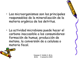 Los microorganismos son los principales responsables de la mineralización de la materia orgánica de los detritus. La actividad microbiana puede hacer el carbono inaccesible a los consumidores: formación de humus, producción de metano, la conversión de a celulosa o materia fecal. Vanessa V. Valdés S. M.Sc. M.Ed.  I semestre 2010 