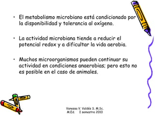El metabolismo microbiano está condicionado por la disponibilidad y tolerancia al oxígeno.  La actividad microbiana tiende a reducir el potencial redox y a dificultar la vida aerobia.  Muchos microorganismos pueden continuar su actividad en condiciones anaerobias; pero esto no es posible en el caso de animales. Vanessa V. Valdés S. M.Sc. M.Ed.  I semestre 2010 