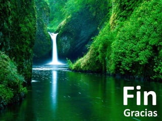 FinGracias