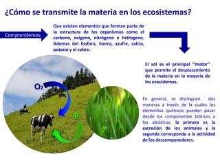 ¿Cómo se transmite la materia en los ecosistemas?Que existen elementos que forman parte de la estructura de los organismos como el carbono, oxigeno, nitrógeno e hidrogeno. Ademas del fosforo, hierro, azufre, calcio, potasio y el cobre.ComprendemosEl sol es el principal ‘’motor’’ que permite el desplazamiento de la materia en la mayoría de los ecosistemas.O2En general, se distinguen  dos maneras a través de la cuales los elementos químicos pueden pasar desde los componentes bióticos a los abióticos: la primera es la excreción de los animales y la segunda corresponde a la actividad de los descomponedores.P