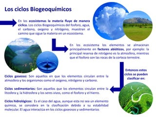 Los ciclos BiogeoquímicosEn los ecosistemas la materia fluye de manera cíclica. Los ciclos Biogeoquímicos del fosforo, agua, el carbono, oxigeno y nitrógeno, muestran el camino que sigue la materia en un ecosistema.En los ecosistema los elementos se almacenan principalmente en factores abióticos, por ejemplo: la principal reserva de nitrógeno es la atmosfera, mientras que el fosforo son las rocas de la corteza terrestre.Entonces estos ciclos se pueden clasificar en:Ciclos gaseoso: Son aquellos en que los elementos circulan entre la atmosfera y los organismos como el oxigeno, nitrógeno y carbono.Ciclos sedimentarios: Son aquellos que los elementos circulan entre la litosfera y, la hidrosfera y los seres vivos, como el fosforo y el hierro.Ciclos hidrológicos:  Es el caso del agua, aunque esta no sea un elemento químico, se considera en la clasificación debido a su estabilidad molecular. El agua interactúa en los ciclos gaseosos y sedimentarios