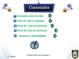 Contenidos

            Concepto ciclo de vida
            Ciclo de vida en plantas

            Ciclo de vida en animales...