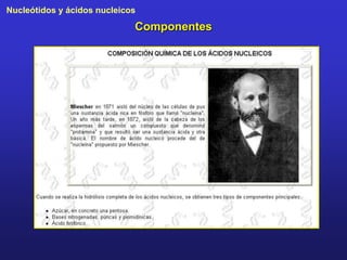 Nucleótidos y ácidos nucleicos

Componentes

 