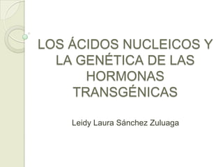 LOS ÁCIDOS NUCLEICOS Y LA GENÉTICA DE LAS HORMONAS TRANSGÉNICAS Leidy Laura Sánchez Zuluaga 