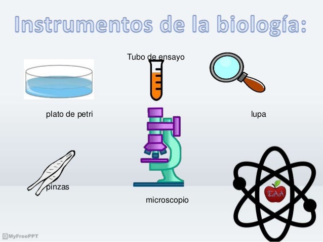 Imagen relacionada
