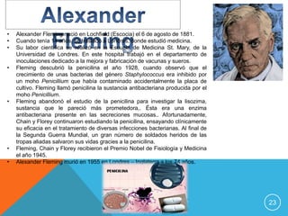 •   Alexander Fleming nació en Lochfield (Escocia) el 6 de agosto de 1881.
•   Cuando tenía 14 años, se trasladó a Londres, donde estudió medicina.
•   Su labor científica se realizó en la Escuela de Medicina St. Mary, de la
    Universidad de Londres. En este hospital trabajó en el departamento de
    inoculaciones dedicado a la mejora y fabricación de vacunas y sueros.
•   Fleming descubrió la penicilina el año 1928, cuando observó que el
    crecimiento de unas bacterias del género Staphylococcus era inhibido por
    un moho Penicillium que había contaminado accidentalmente la placa de
    cultivo. Fleming llamó penicilina la sustancia antibacteriana producida por el
    moho Penicillium.
•   Fleming abandonó el estudio de la penicilina para investigar la lisozima,
    sustancia que le pareció más prometedora,. Ésta era una enzima
    antibacteriana presente en las secreciones mucosas.. Afortunadamente,
    Chain y Florey continuaron estudiando la penicilina, ensayando clínicamente
    su eficacia en el tratamiento de diversas infecciones bacterianas. Al final de
    la Segunda Guerra Mundial, un gran número de soldados heridos de las
    tropas aliadas salvaron sus vidas gracies a la penicilina.
•   Fleming, Chain y Florey recibieron el Premio Nobel de Fisiología y Medicina
    el año 1945.
•   Alexander Fleming murió en 1955 en Londres – Inglaterra a los 74 años.




                                                                                     23
 