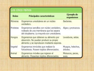 Los cinco reinos de la Naturaleza