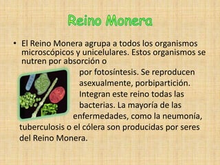 • El Reino Monera agrupa a todos los organismos
microscópicos y unicelulares. Estos organismos se
nutren por absorción o
por fotosíntesis. Se reproducen
asexualmente, porbipartición.
Integran este reino todas las
bacterias. La mayoría de las
enfermedades, como la neumonía,
tuberculosis o el cólera son producidas por seres
del Reino Monera.
 