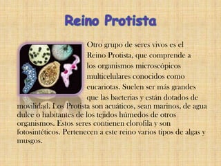 Otro grupo de seres vivos es el
Reino Protista, que comprende a
los organismos microscópicos
multicelulares conocidos como
eucariotas. Suelen ser más grandes
que las bacterias y están dotados de
movilidad. Los Protista son acuáticos, sean marinos, de agua
dulce o habitantes de los tejidos húmedos de otros
organismos. Estos seres contienen clorofila y son
fotosintéticos. Pertenecen a este reino varios tipos de algas y
musgos.
 