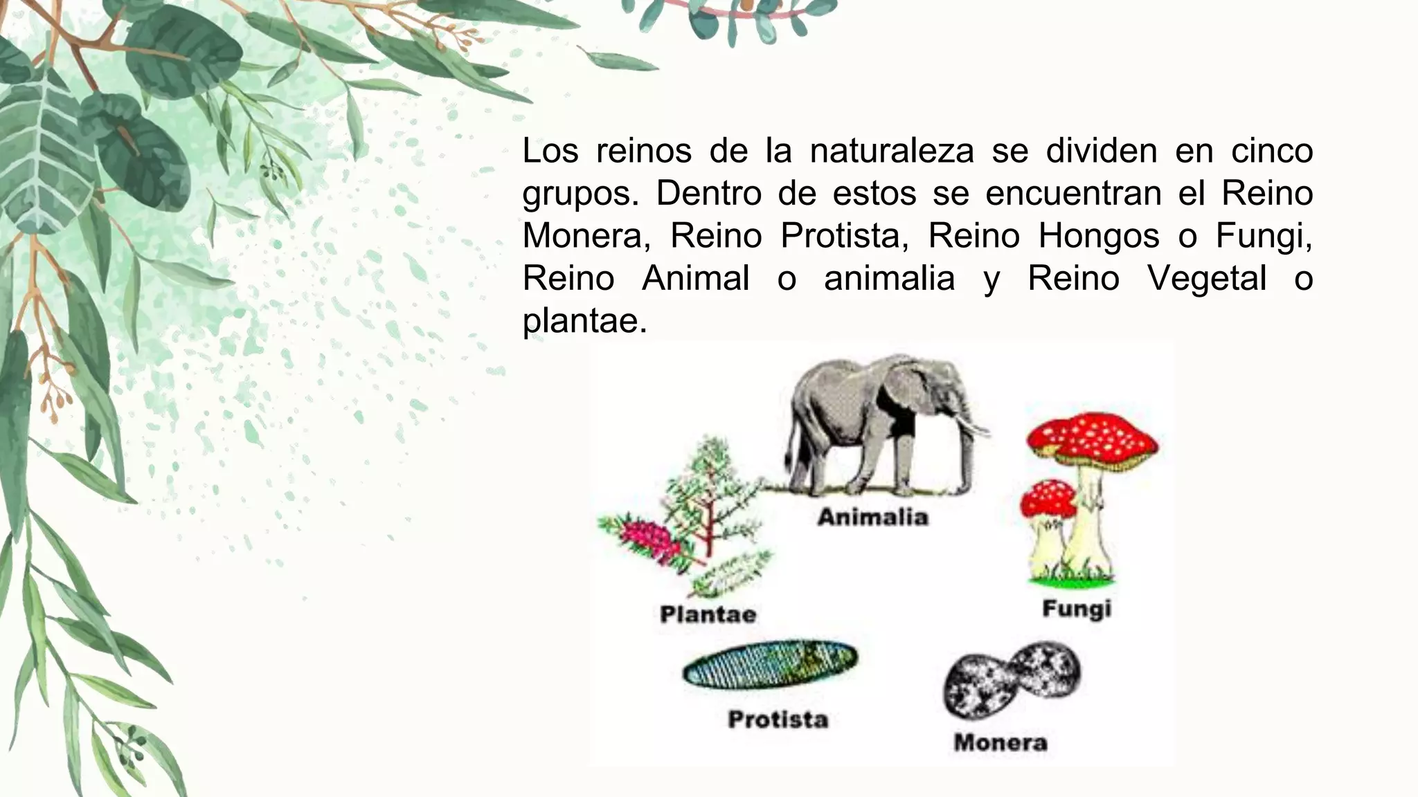 Los cinco reinos | PPTX