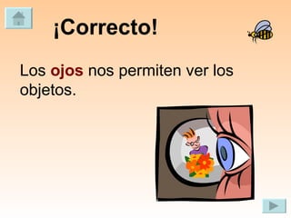 ¡Correcto! Los  ojos  nos permiten ver los objetos. 