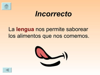 Incorrecto La  lengua  nos permite saborear los alimentos que nos comemos. 