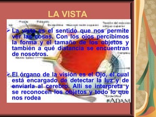 LA VISTA La vista es el sentido que nos permite ver las cosas. Con los ojos percibimos la forma y el tamaño de los objetos y también a qué distancia se encuentran de nosotros. El órgano de la visión es el Ojo, el cual está encargado de detectar la luz y de enviarla al cerebro. Allí se interpreta y se reconocen los objetos y todo lo que nos rodea  