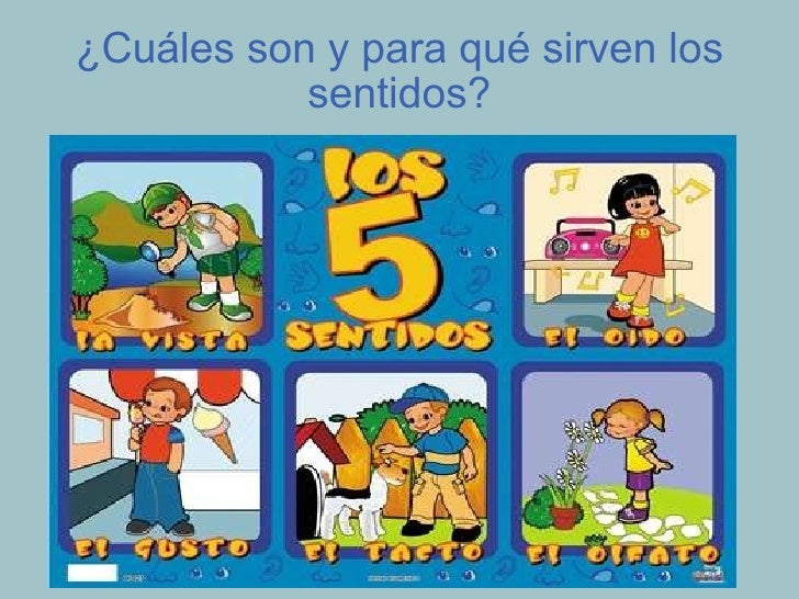 Los cinco sentidos
